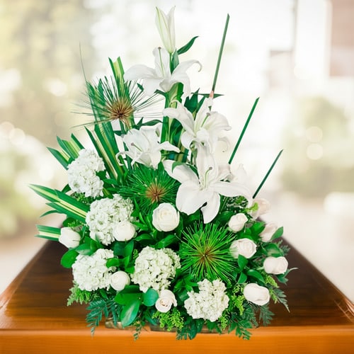 ayudame a generar variaciones de esta imagen en