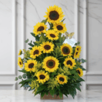 toma la imagen adjunta como base y genera fidty3