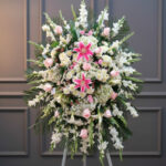 toma la imagen adjunta como base y genera hfzggq