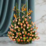 toma la imagen adjunta como base y genera wf6av0x