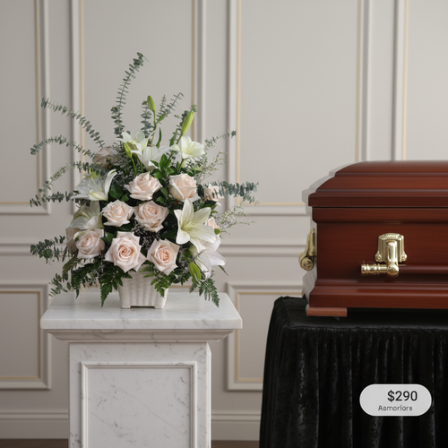 usa la imagen adjunta como referencia y crea v8iq6u